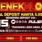 Situs Depo 5k BNI Terpercaya untuk Transaksi Online