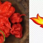 Habanero Alternatif: Pilihan Pedas Selain Cabai Habanero